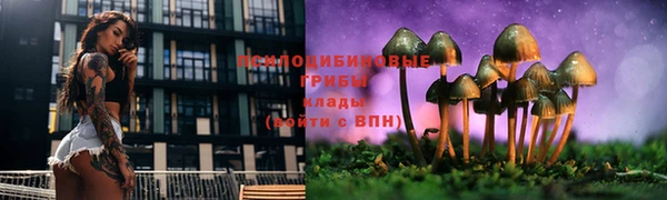 дурь Алзамай
