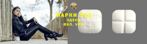 гидра Алексин