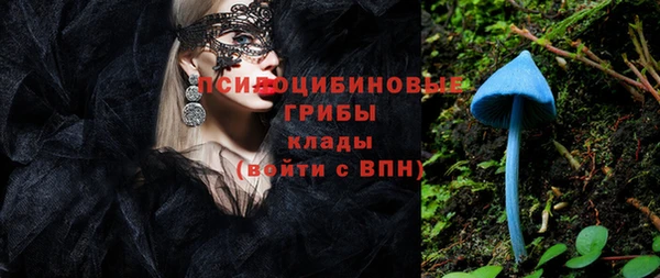 кокс Алексеевка