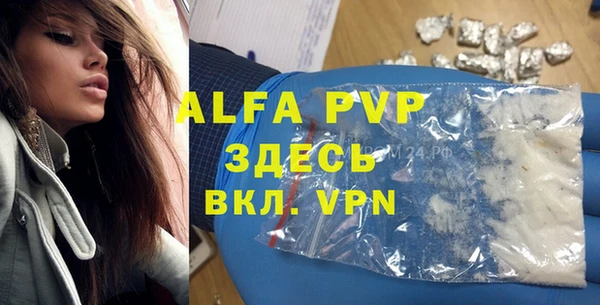 гидра Алексин