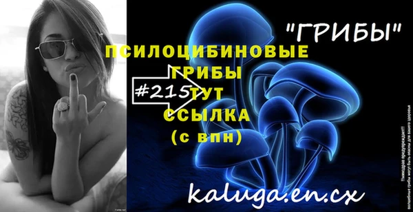гидра Алексин