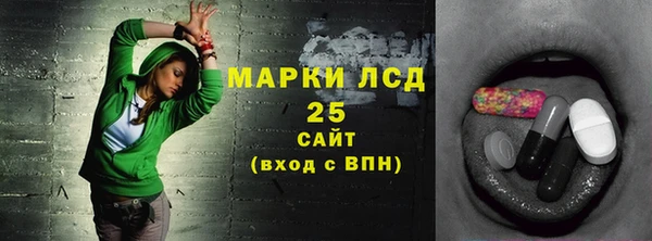 гидра Алексин