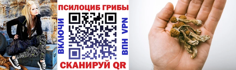 Галлюциногенные грибы Magic Shrooms  наркота  Катайск 